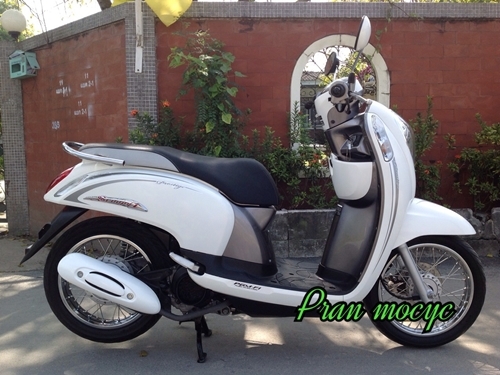 ขายHONDA SCOOPY-I สีขาวเทา  ปี2556