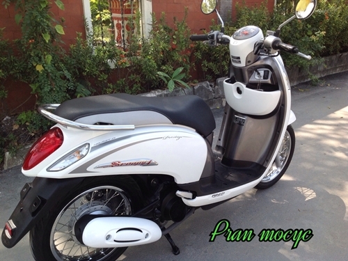 ขายHONDA SCOOPY-I สีขาวเทา  ปี2556