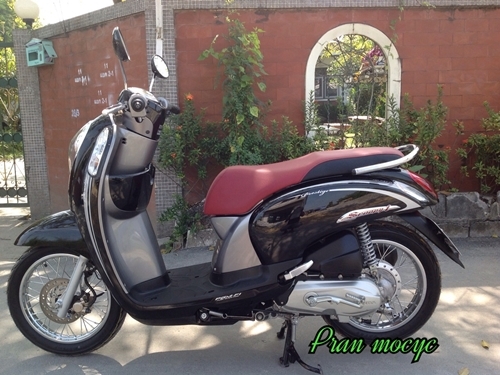 ขายHONDA SCOOPY-I สีดำ  ปี2556