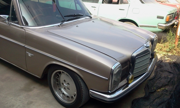 เบนซ์ ตาตั้ง หูช้าง 0867243409 k.natt