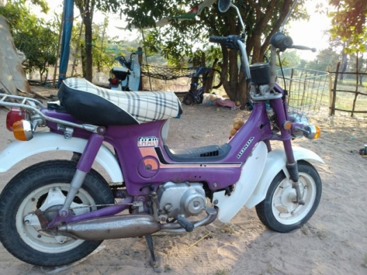 ขายชาลีเดิมๆ อยู่อุบล ขายชาลีเดิมๆ อยู่อุบล