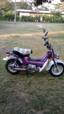 ขายชาลีเดิมๆ อยู่อุบล ขายชาลีเดิมๆ อยู่อุบล