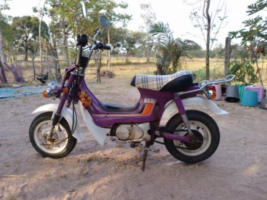 ขายชาลีเดิมๆ อยู่อุบล