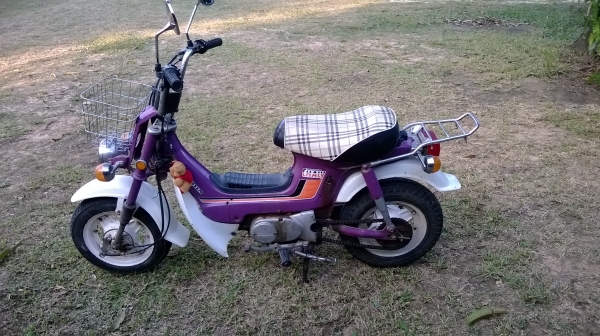 ขายชาลีเดิมๆ อยู่อุบล ขายชาลีเดิมๆ อยู่อุบล