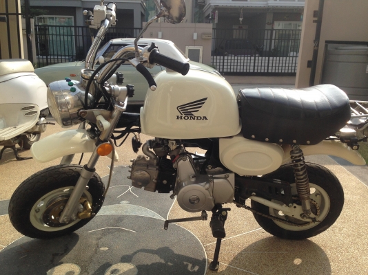 ขายกลอลิล่าถูกๆ 15,000 บาท ค่ะ