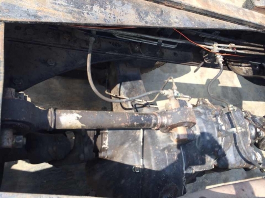 ขายฮีโน่1J สมอทองหัวคัสซีสวยๆ ขายฮีโน่1J สมอทองหัวคัสซีสวยๆ