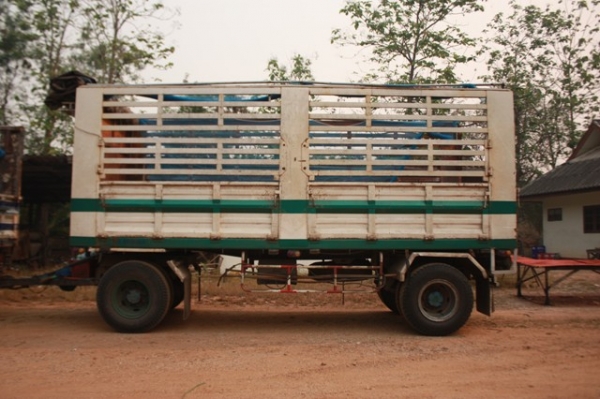 ขาย Hino Mega ปี 2547 แม่+ลูก ขาย Hino Mega ปี 2547 แม่+ลูก