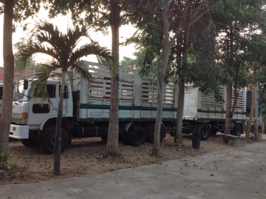 Hino F18 แม่+ลูก