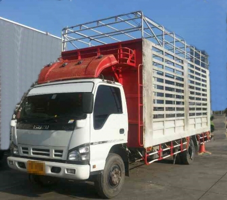 Izuzu NQR 150 แรงม้า ปี2551ยาว5.50 ม.