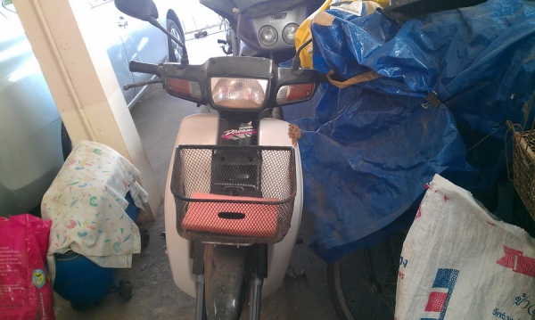 ดรีมก้นมน