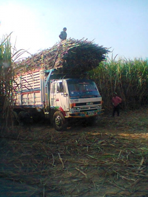 ขายอีซูซุจัมโบ้ดั๊ม คอกเกษตร เครื่อง185แรง บรรทุกอ้อย ราคา 880,000 บาท เจ้าของชายเอง