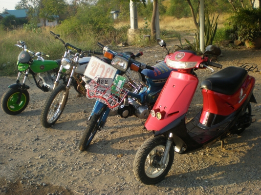 ขอขาย Jx 110  สีขาว