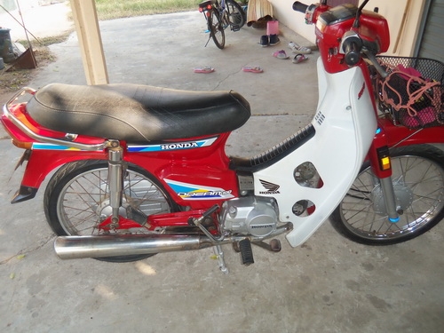 ขายดรีม100สต๊าดมือ