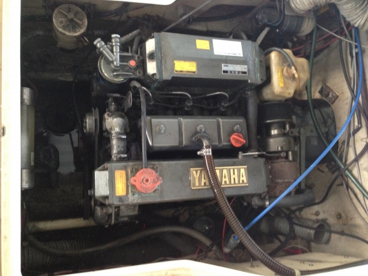 ขายเรือตกปลา yamaha 23" ขายเรือตกปลา yamaha 23"