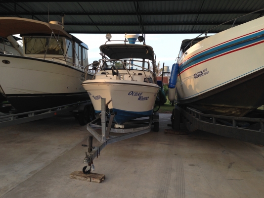 ขายเรือตกปลา yamaha 23"