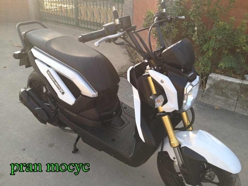 ขายzoomer-xสีขาว ปี2556