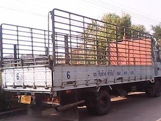 ขาย FRR ยาว 6.50 เมตร 6 HE1. 195 แรง ขาย FRR ยาว 6.50 เมตร 6 HE1. 195 แรง