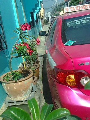 ขายอัลติส 08 ดาวน์ 50,000.- ทะเบียน ทล 9 *** สีชมพู- ขาว ขายอัลติส 08 ดาวน์ 50,000.- ทะเบียน ทล 9 *** สีชมพู- ขาว