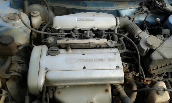 ขาย สามห่วง 20000 คับ