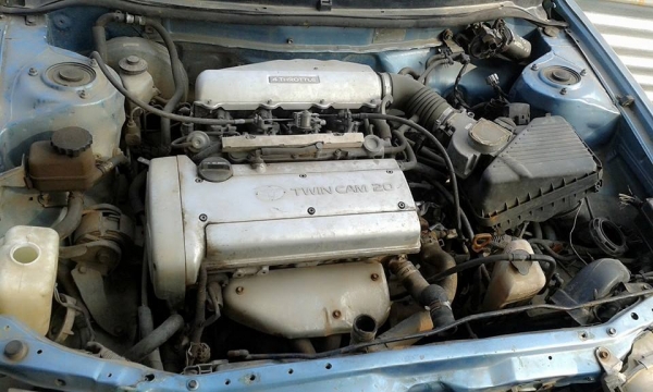 ขาย สามห่วง 20000 คับ