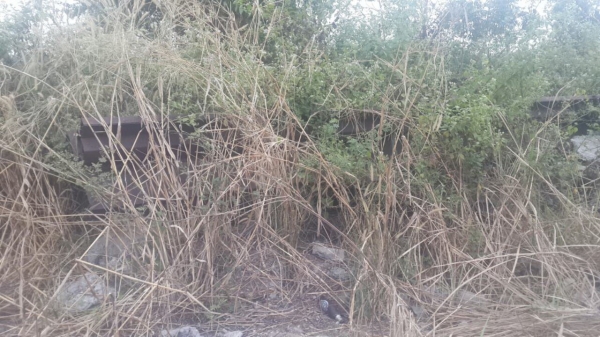 ขายแพล๊นท์หล่อเสาเข็ม แผ่นพื้น มีอุปกรณ์จำนวนมาก