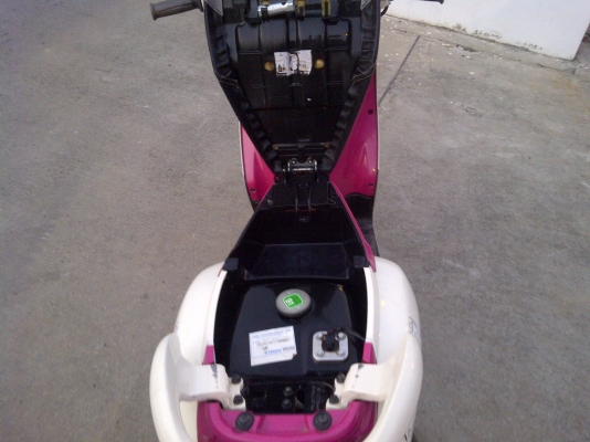 fino ปี2555 ไมล์แยก ลายปารีส วันเดียว