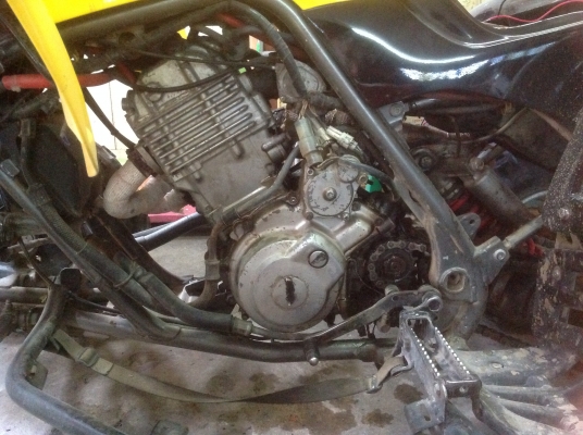 ขาย ATV Raptor 660