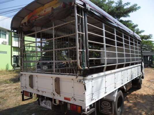 ขายดาวน์ ISUZU 150 แรงปี 54 ยาว 5 เมตร ขายดาวน์ ISUZU 150 แรงปี 54 ยาว 5 เมตร