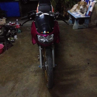 ขายls125 ถังปาด ราคา15500