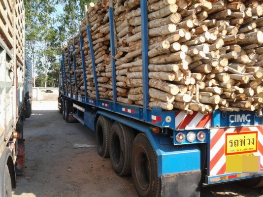 HINO MAGA 500  ขายดาวน์พร้อมหางค่ะ ขายกลางอากาศไป จ. สระบุรีแล้วค่ะ