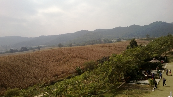 ISUZU RUCKY เครื่อง145แรงดีมาก คัสซีสดี กระบะเหล็กคอกเหล็ก ยาว5.5 เมตร ไม่มีผุ เอาไปใช้งานได้เลยไม่ต้องซ่อม