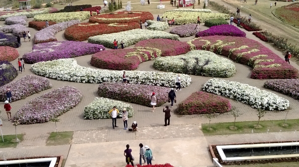 ISUZU RUCKY เครื่อง145แรงดีมาก คัสซีสดี กระบะเหล็กคอกเหล็ก ยาว5.5 เมตร ไม่มีผุ เอาไปใช้งานได้เลยไม่ต้องซ่อม