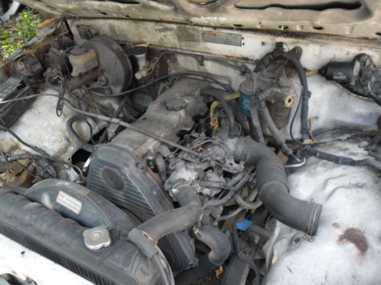 ไมตี้ช่วงยาว  ขาย 25,000.-