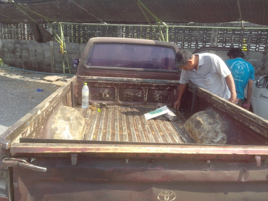 ขายรถเก่าๆ เครื่องดี คัชซี่ไม่ผุ ปี93