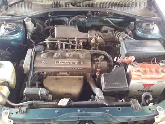 ขายตูดโด่ง ถูกๆๆ..เอาไปใช้งาน ครับ