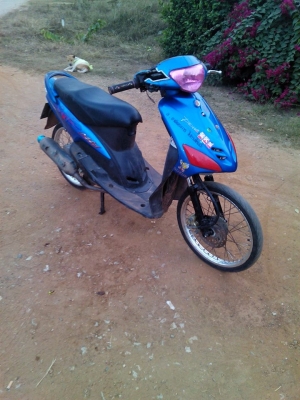 มีโอ49 ลูกซีบี