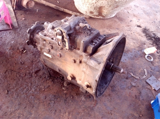 ขายเกรีย F18