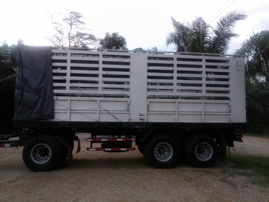 หางพ่วง SMM