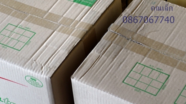 สีฝุ่น V powdertech สีดำเงา