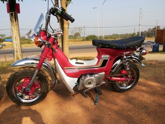 ขาย ชาลี ประกอบใหม่ เครื่องไลฟาน 110 สตาร์ทมือ พร้อมอินวอย ขาย ชาลี ประกอบใหม่ เครื่องไลฟาน 110 สตาร์ทมือ พร้อมอินวอย