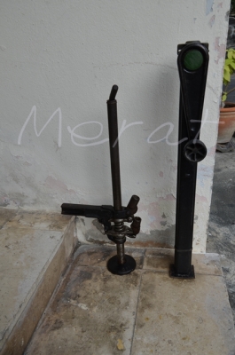 ขายแม่แรงเต่า