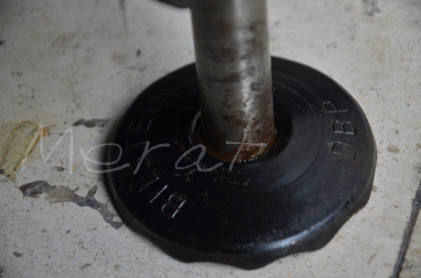 ขายแม่แรงเต่า