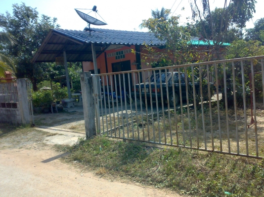 ขายที่จ.ชลลบุรี เขต พนัสนิคม พร้อมบ้าน ด่วนมากๆ