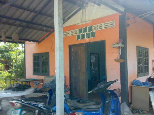 ขายที่จ.ชลลบุรี เขต พนัสนิคม พร้อมบ้าน ด่วนมากๆ