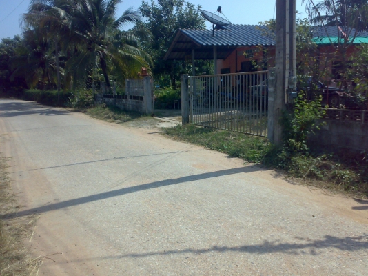 ขายที่จ.ชลลบุรี เขต พนัสนิคม พร้อมบ้าน ด่วนมากๆ