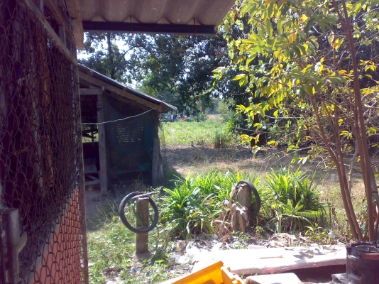 ขายที่จ.ชลลบุรี เขต พนัสนิคม พร้อมบ้าน ด่วนมากๆ