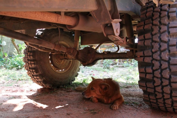 ขาย! CARIBIAN SPORTY SJ ขาย! CARIBIAN SPORTY SJ