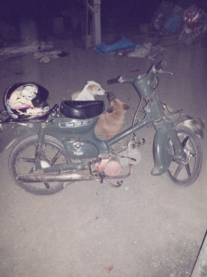 C 50
