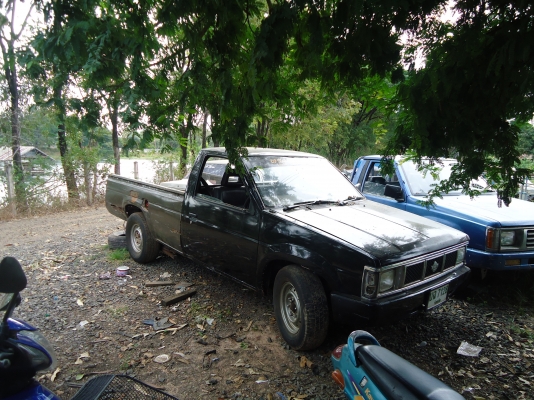 BIG-M2.5ฝาแดง หัวเดียว 43000