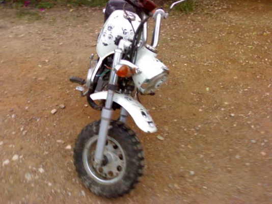 เรียวก้า กอลิล่า